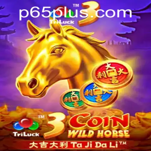 P65.COM Casino App
